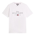 Camiseta Tommy Hilfiger Brand Love Big Tee Masculina BRANCO