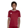 Camiseta adidas Entrada 26 Infantil VERMELHO