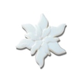 Jibbitz Crocs Flor Mágica Iridescente BRANCO