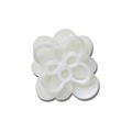 Jibbitz Crocs Flor Florescendo 1 BRANCO