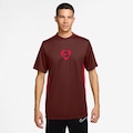 Opção de cor MARROM/VINHO de Camiseta Dri-FIT Nike Academy+ Masculina