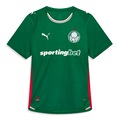 Camisa do Palmeiras Home Jersey Jogador 26/27 Puma Masculina VERDE/BRANCO