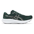 Tênis Asics Masculino Raiden 5 Corrida Masculino VERDE ESCURO