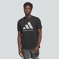 Camiseta adidas Legends Hook Masculina PRETO