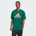 Camiseta adidas Grafica Skate Masculina VERDE