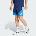 Shorts adidas Cruzeiro Competition Downtime 2026 Masculino AZUL