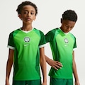 Camisa Nigéria I 26/27 Torcedor Pro Nike Infantil VERDE/BRANCO