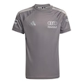 Camiseta Adidas Piloto Audi Revolut F1 Team Unissex CINZA