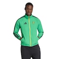 Jaqueta Masculina Hino I Jamaica x Bob Marley adidas VERDE