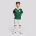Kit do Palmeiras I 2026 Infantil Puma VERDE