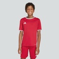 Camisa Entrada 26 adidas Infantil VERMELHO