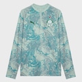 Blusão Pré-Jogo do Palmeiras 1/4 Zip Top 26/27 Puma Masculina VERDE