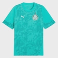 Camisa de Treino do Palmeiras 26/27 Puma Masculina VERDE