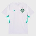 Camisa do Palmeiras Evostripe 26/27 Puma Masculina BRANCO