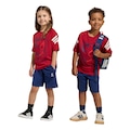 Conjunto adidas Marvel Homem-Aranha - Infantil VINHO