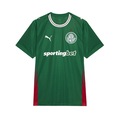 Camiseta do Palmeiras Torcedor I 26 Puma - Masculina VERDE/VERMELHO