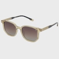 Óculos de Sol Feminino Surf Alive Crystal MARROM