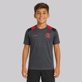 Camisa Flamengo Vibrou Infantil CINZA