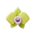 Jibbitz™ Crocs Meta Jelly Flor BRANCO