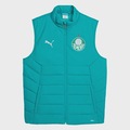 Colete do Palmeiras SE Training Puma - Masculino VERDE