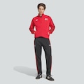 Calça adidas Flamengo Originals Masculina PRETO