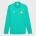 Blusa de Treino Palmeiras Puma Warm SE - Masculina VERDE
