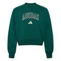 Blusão de Moletom adidas Seasonals Collegiate Typography Infantil VERDE