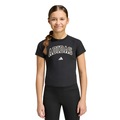 Camiseta adidas Sport Seasonals Collegiate Typography Infantil PRETO/BRANCO