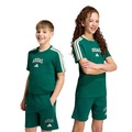 Camiseta adidas Collegiate Infantil VERDE