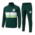 Agasalho do Palmeiras Athletic Betel - Masculino VERDE