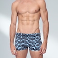 Sunga Boxer Speedo Copacabana - Adulto VERDE CLARO