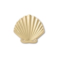 Jibbitz™ Concha Marinha Dourada Único - Unissex BRANCO