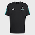 Camiseta adidas Mercedes-AMG Petronas Team Dna Masculina PRETO