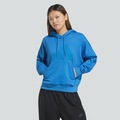 Blusão de Moletom adidas Big Logo Ess Com Capuz Feminino AZUL