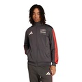 Jaqueta adidas DNA Audi Revolut F1 Team Masculina CINZA