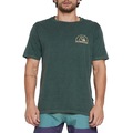 Camiseta Especial Quiksilver New Take Masculina VERDE