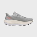 Tênis Masculino Mizuno Wave Skyway CINZA