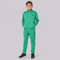 Agasalho do Palmeiras SEP Infantil VERDE