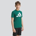 Camiseta adidas Essentials Big Logo Infantil VERDE