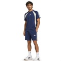Camiseta adidas Essentials Seasonal Masculina AZUL ESC/CINZA ESC