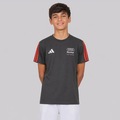 Camiseta adidas Audi Revolut DNA Infantil CINZA