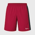 Short Lupo AM Run Masculino VINHO
