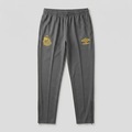 Calça do Santos Treino 24/25 Umbro Masculina CINZA