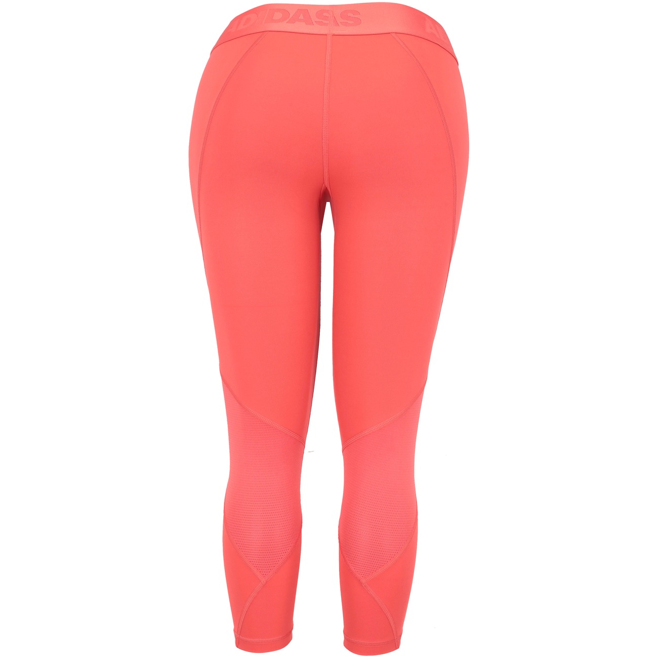 Calça Capri adidas Alphaskin Sport - Feminina - Video 1