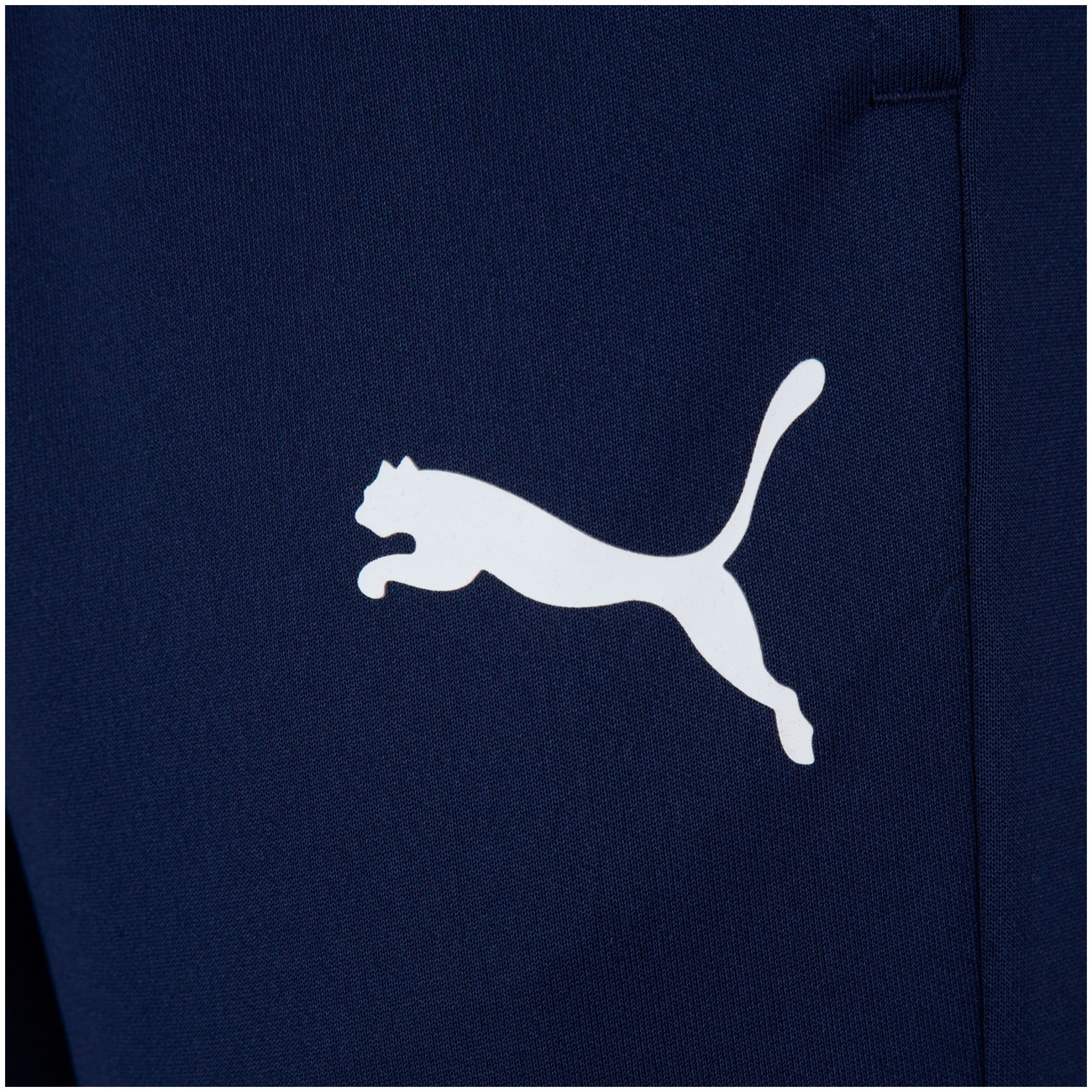 Calça Puma Essentials Active Tricot CL - Masculina - Video 1