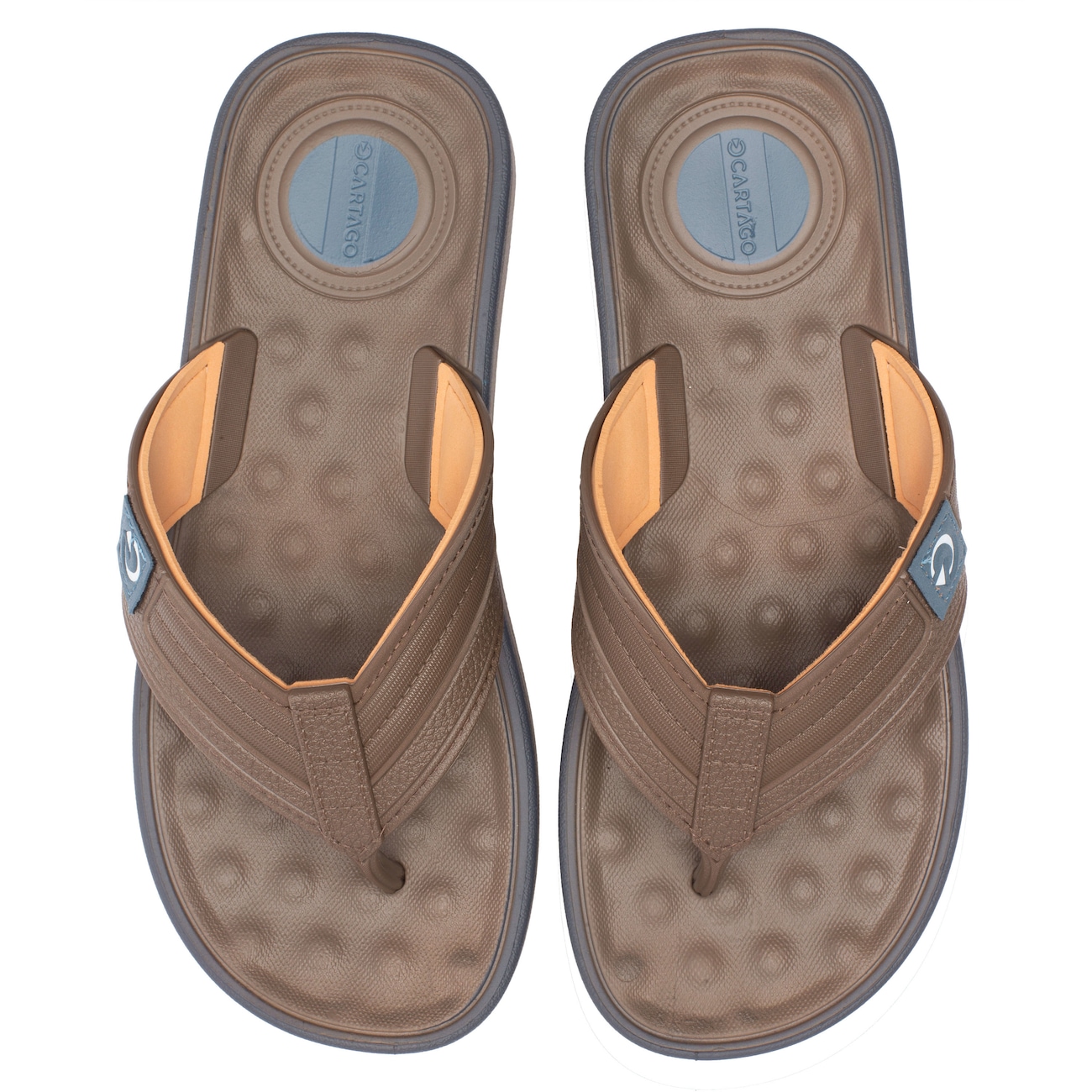 Chinelo Grendene Cartago Alabama Dedo - Adulto