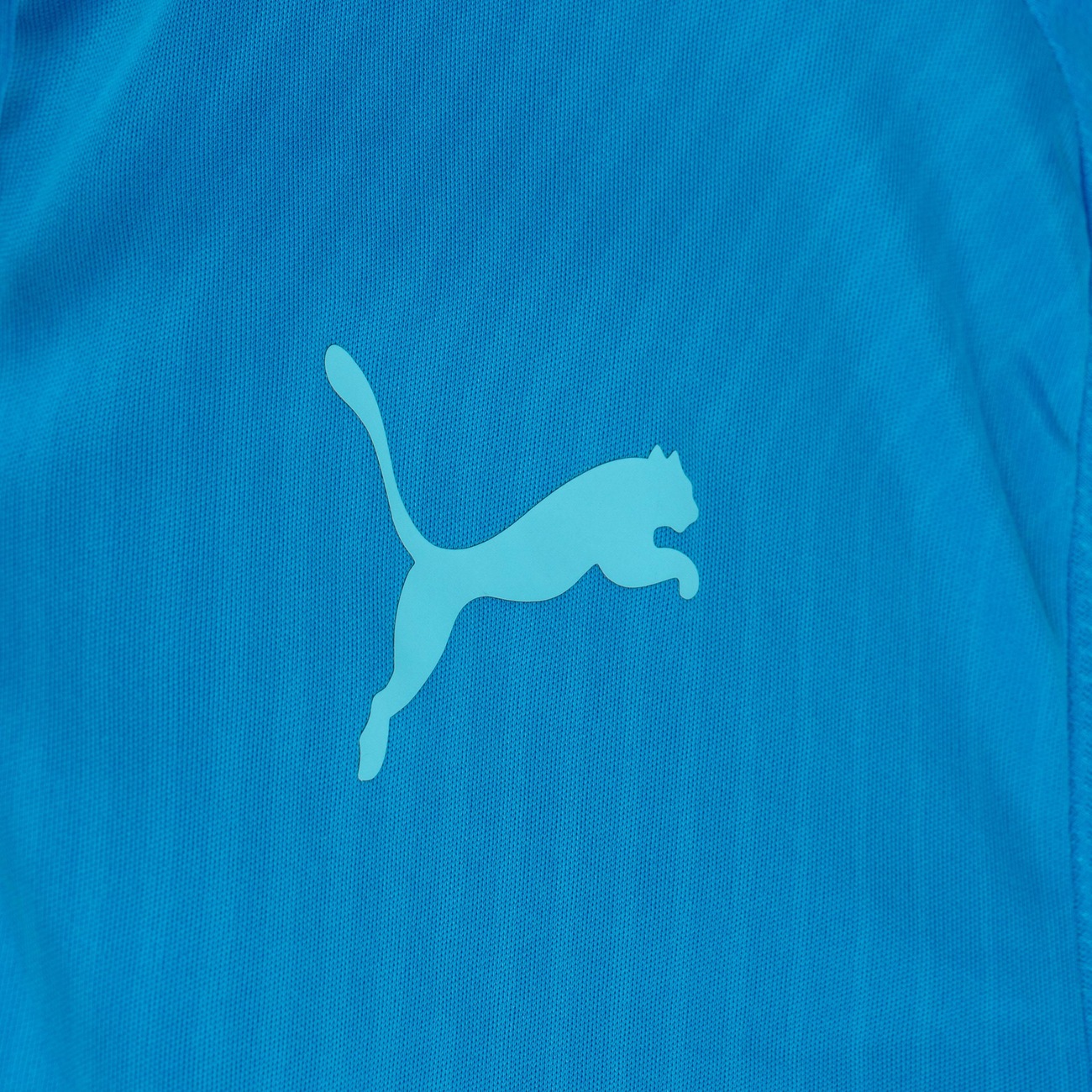 Camisa Polo do Palmeiras Puma Training - Masculina - Video 1