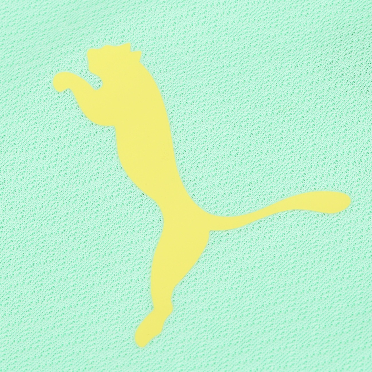 Camisa do Palmeiras III 22 Puma JSY - Masculina - Video 1