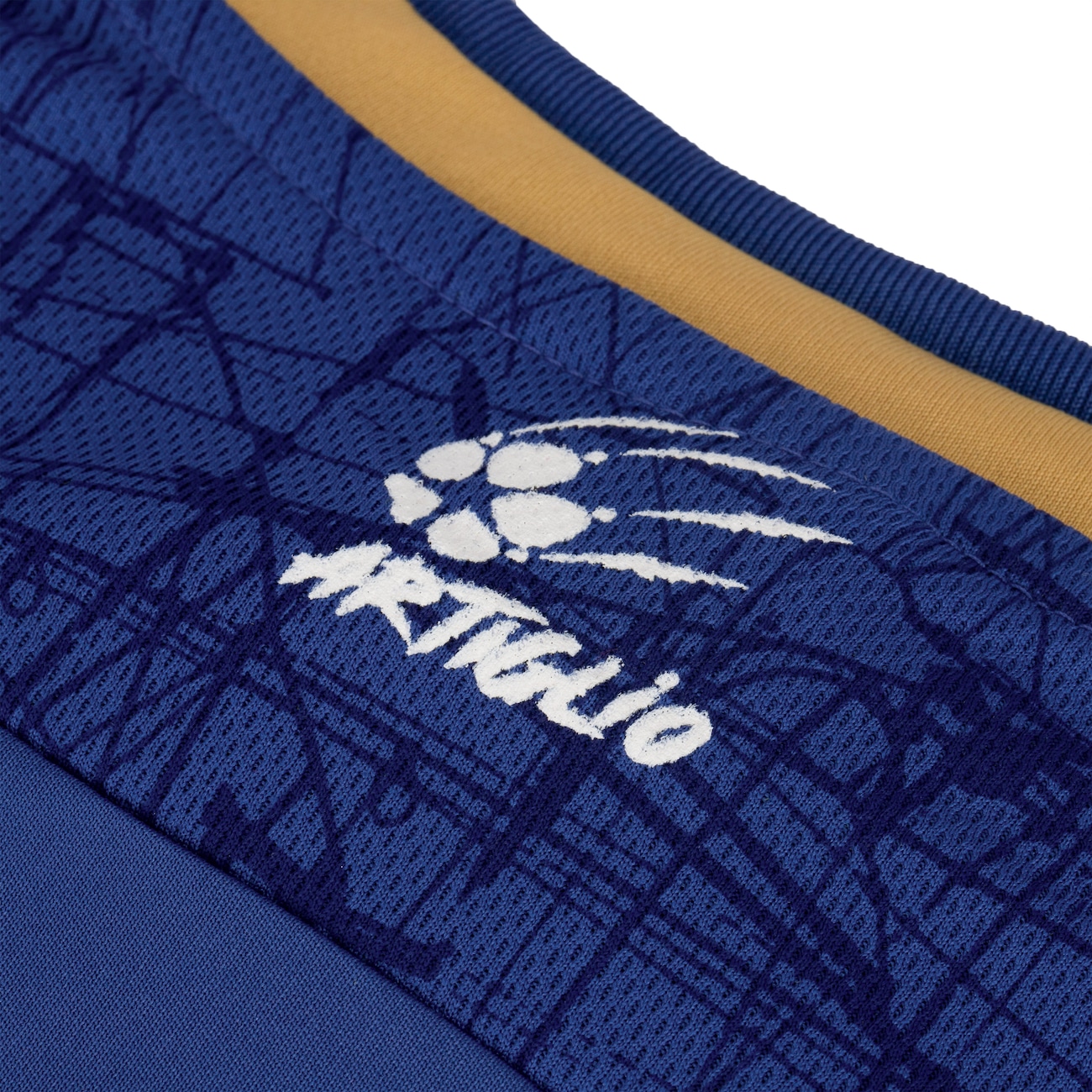 Camiseta Regata Masculina do Cruzeiro 22 Braziline Gangsta Braziline - Video 1