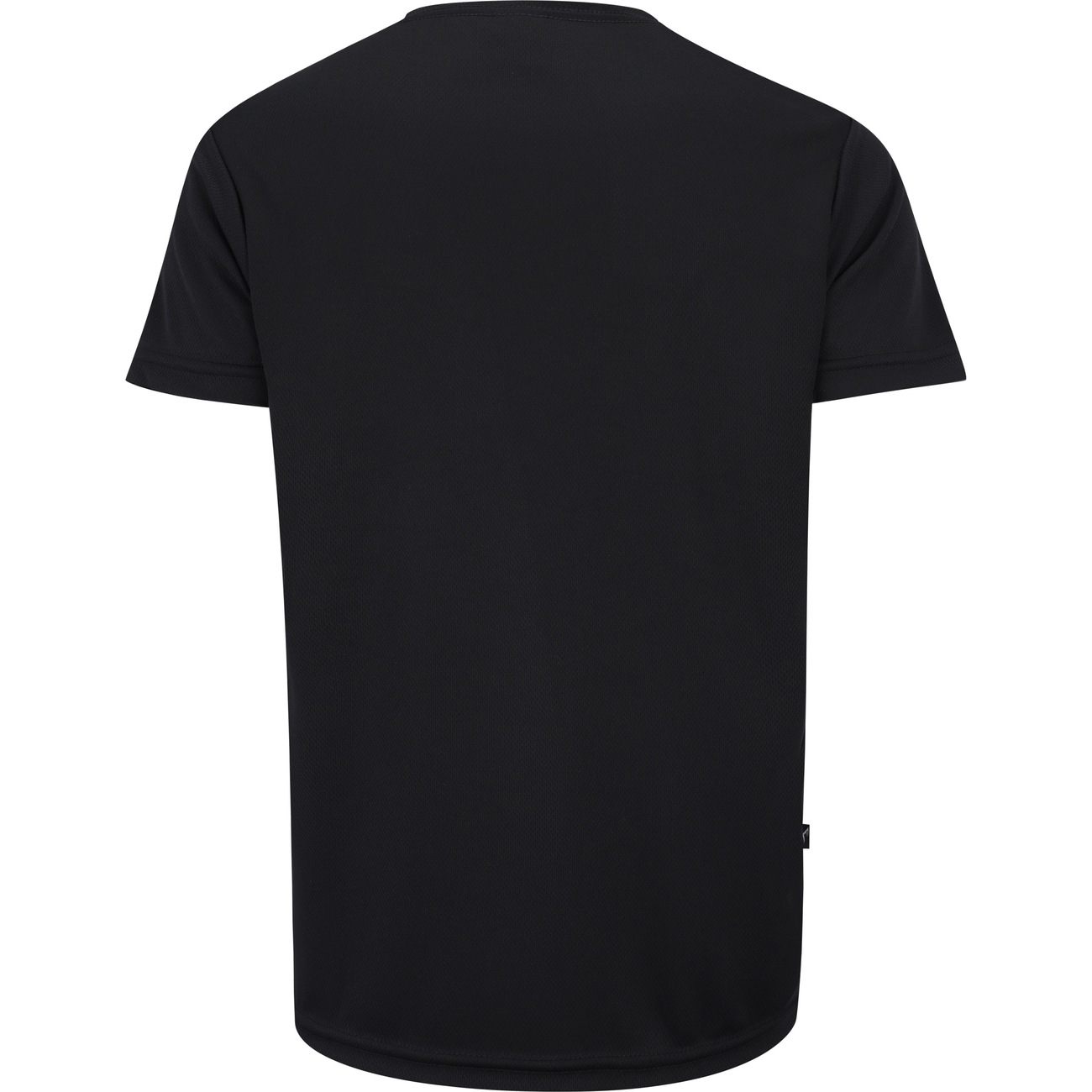 Camiseta Everlast Manga Curta Sport 500273C6P - Masculina - Video 1